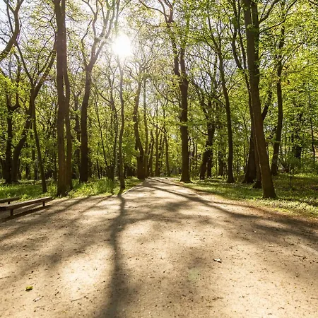 Costa Baltica - Apartos Blizej Morza *